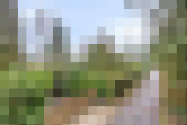 Noordhoekstraat 45 Schaijk thumbnail 57