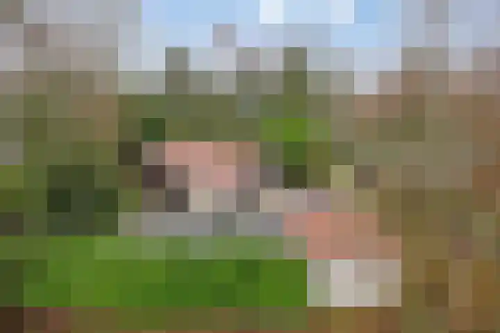 Noordhoekstraat 45 Schaijk thumbnail 59