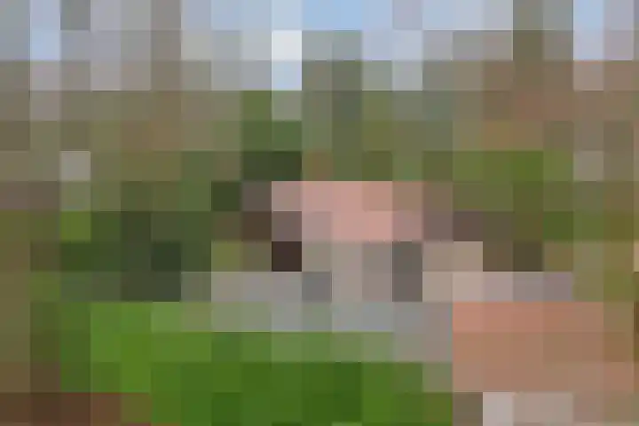 Noordhoekstraat 45 Schaijk thumbnail 60