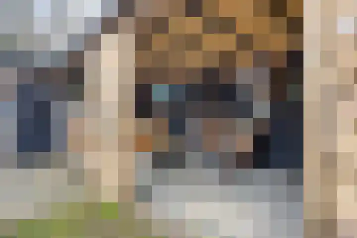Noordhoekstraat 45 Schaijk thumbnail 8