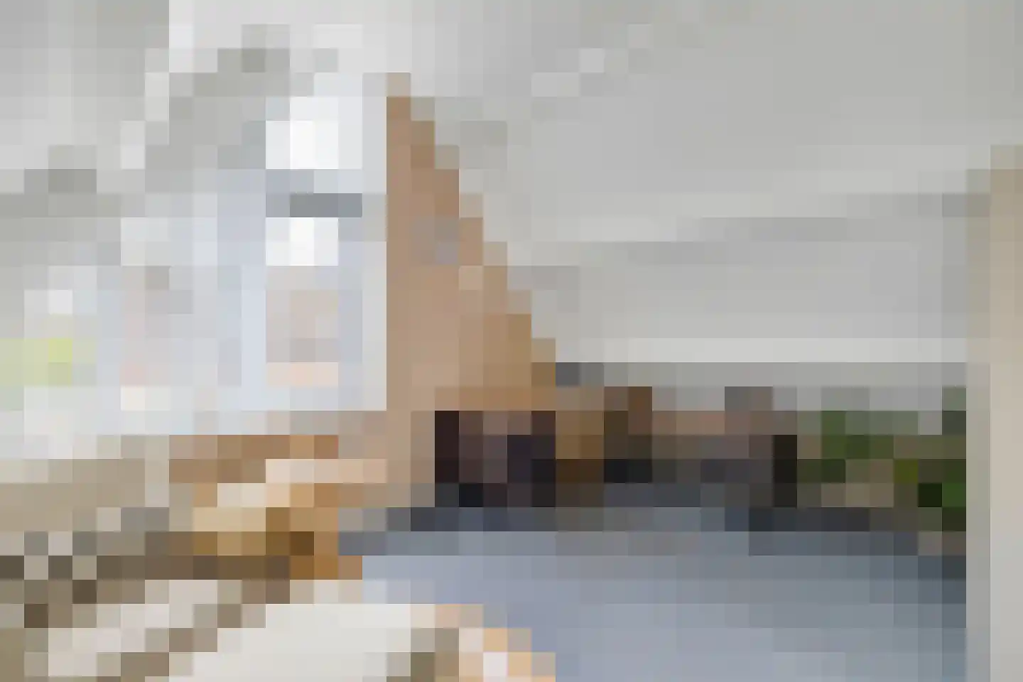 Noordhoren 2 Hellevoetsluis thumbnail 42