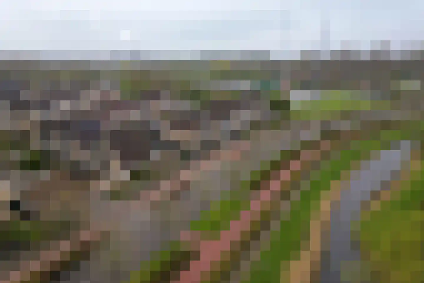Noordhoren 2 Hellevoetsluis thumbnail 56