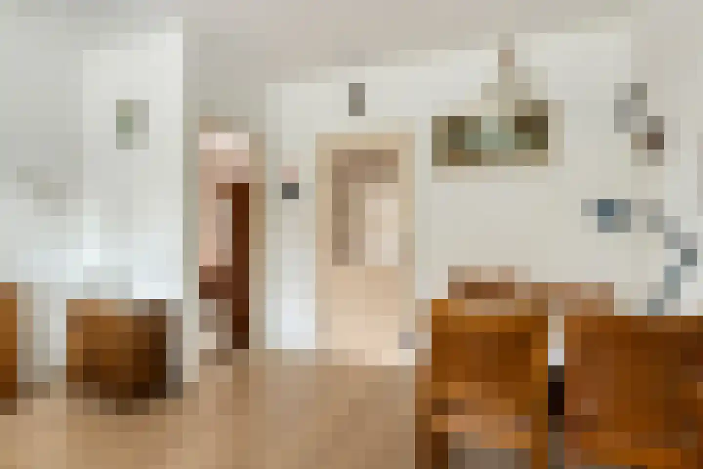Noordhoutstraat 82 Serooskerke thumbnail 8