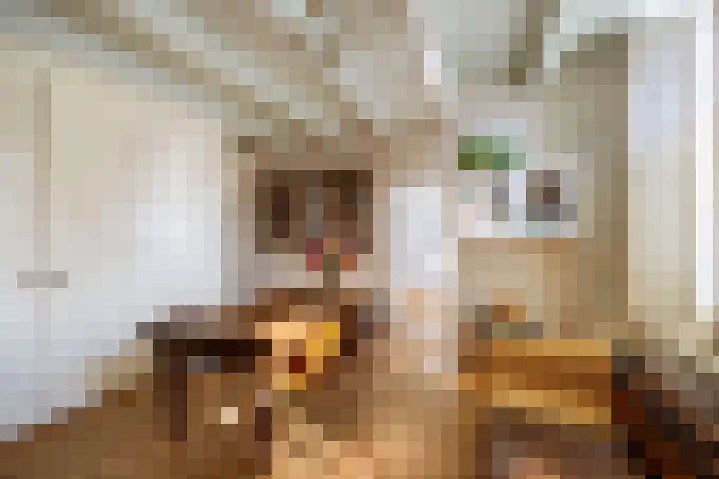 Noordijs 12 Harlingen thumbnail 22