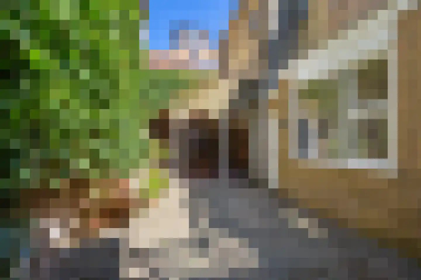 Noordijs 12 Harlingen thumbnail 32