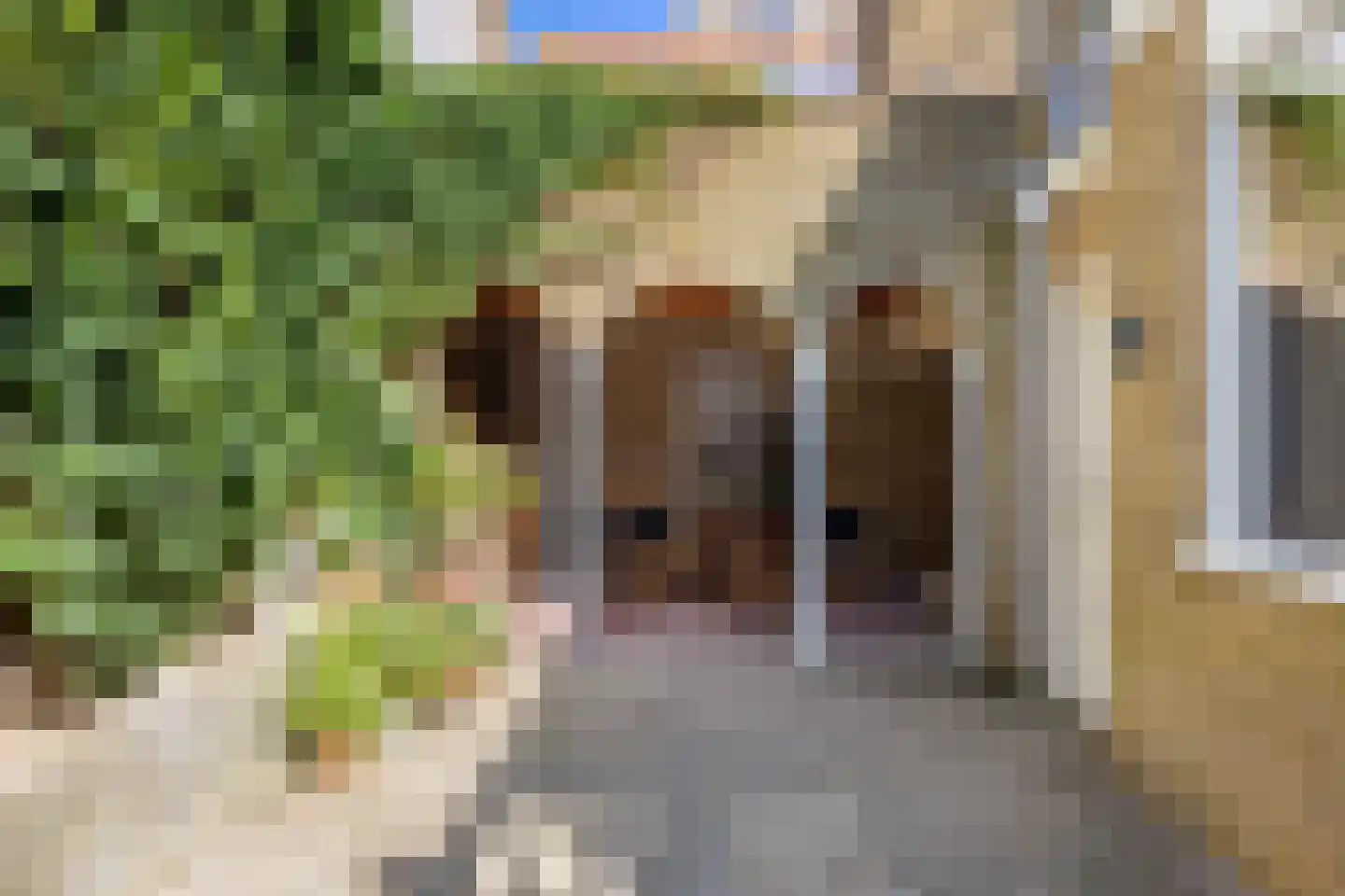 Noordijs 12 Harlingen thumbnail 33