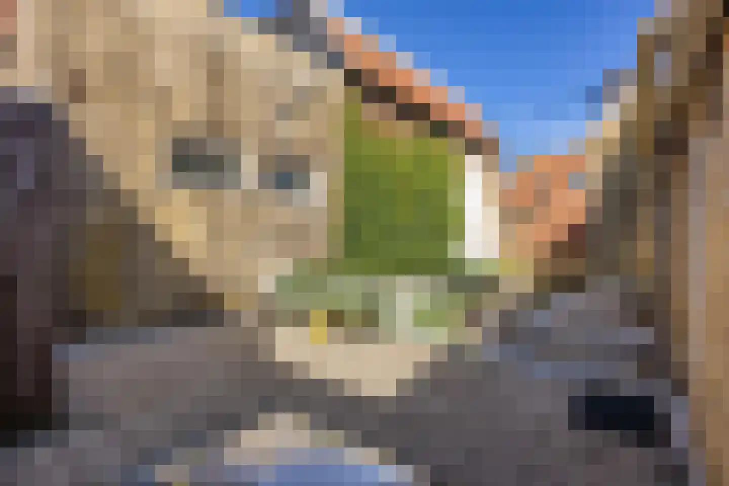 Noordijs 12 Harlingen thumbnail 49