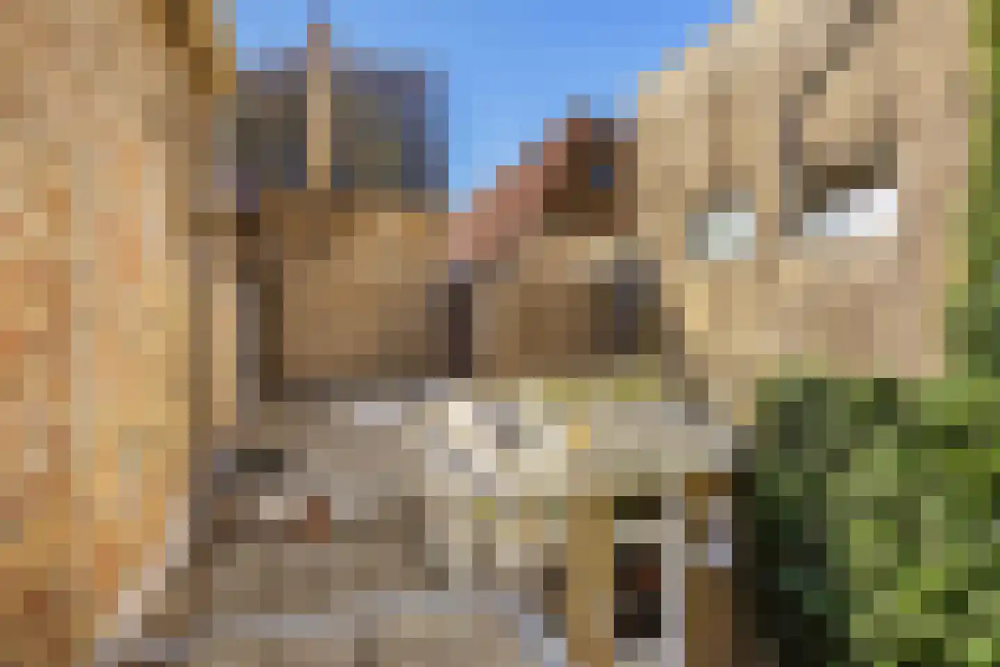 Noordijs 12 Harlingen thumbnail 51