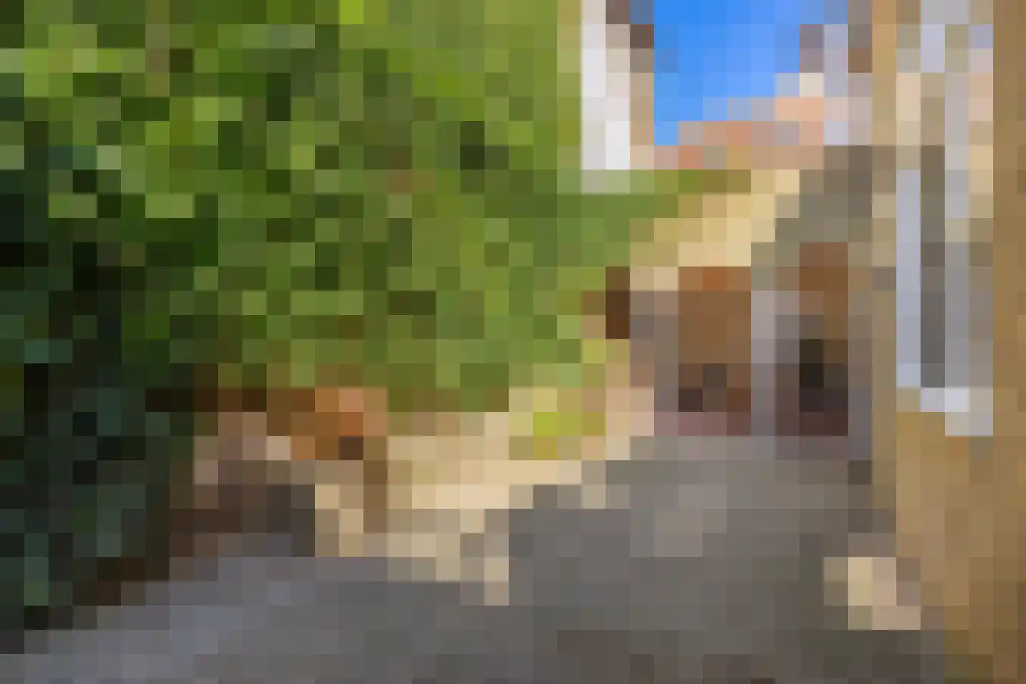 Noordijs 12 Harlingen thumbnail 6