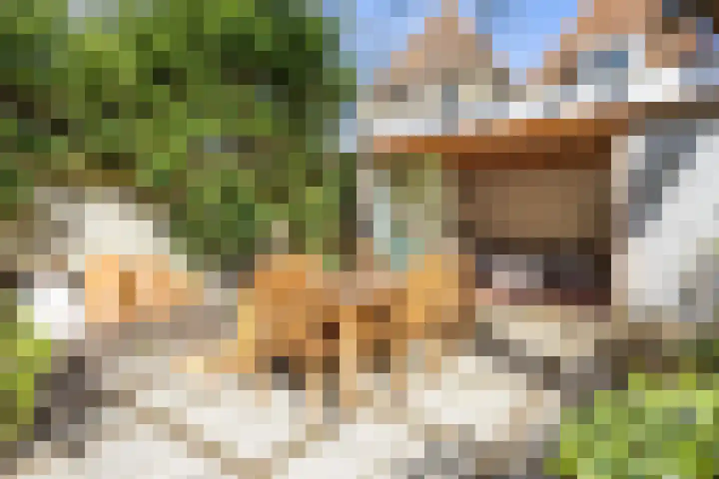 Noordijs 13 Harlingen thumbnail 47