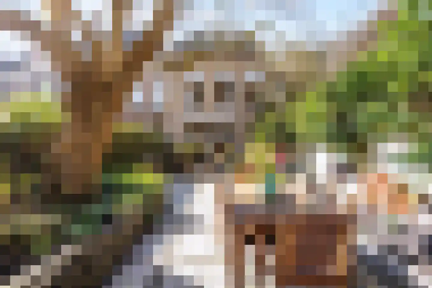 Noordijs 13 Harlingen thumbnail 5