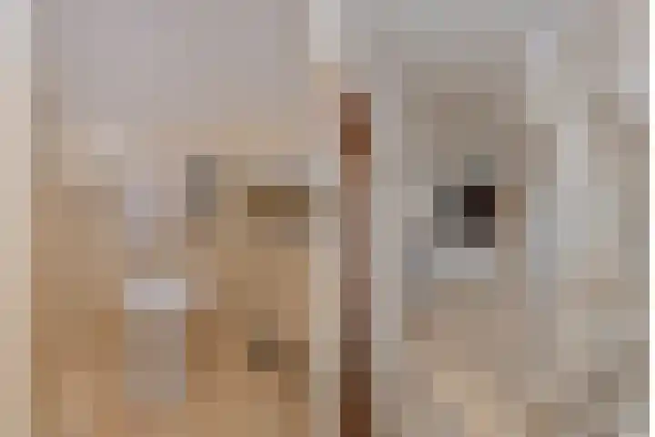 Noordikslaan 23 Almelo thumbnail 12