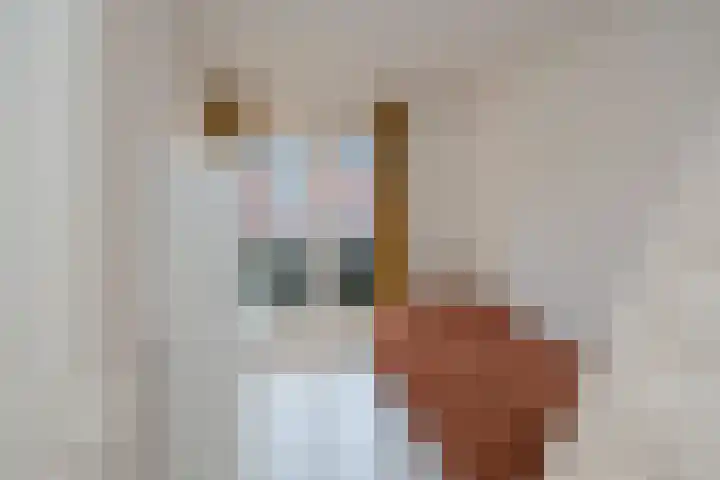 Noordikslaan 23 Almelo thumbnail 17