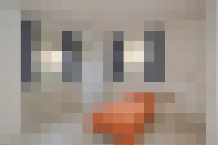 Noordikslaan 23 Almelo thumbnail 18