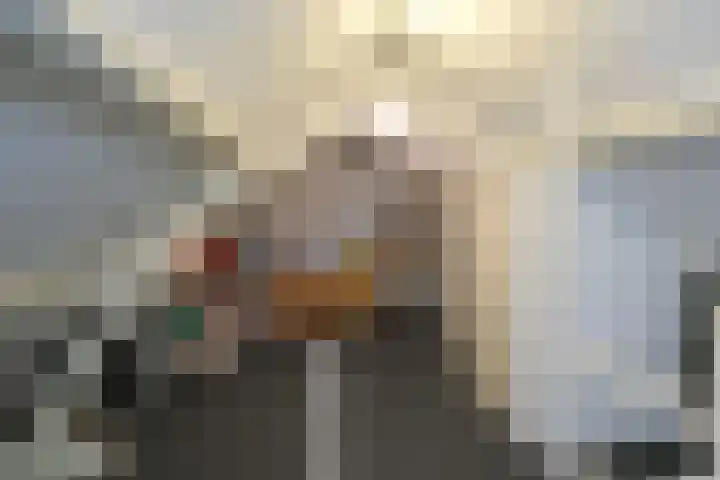 Noordikslaan 23 Almelo thumbnail 21