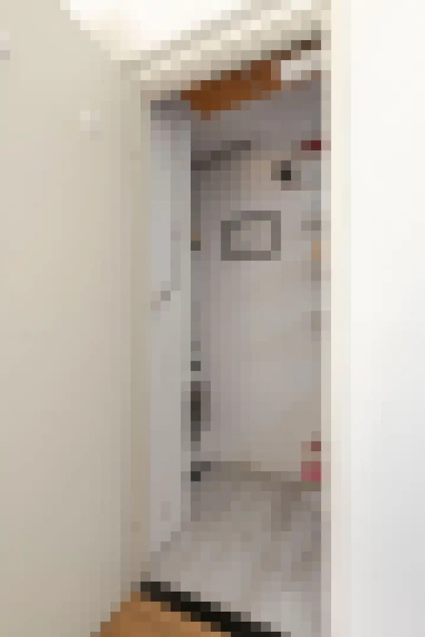 Noordkaapstraat 19 Amsterdam thumbnail 20