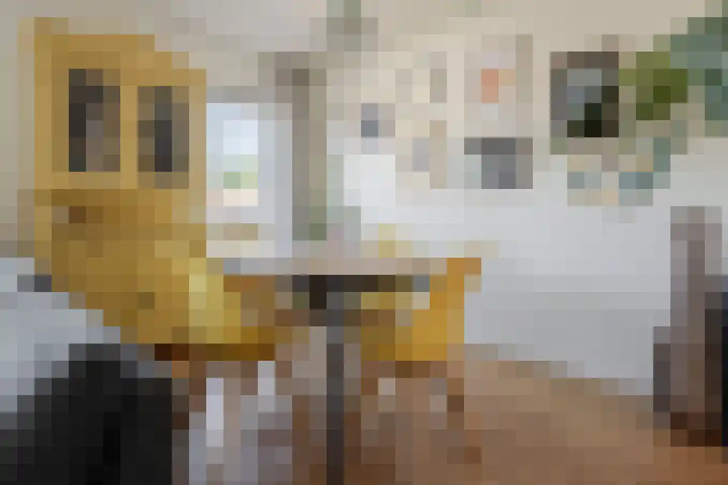 Noordkaapstraat 19 Amsterdam thumbnail 6