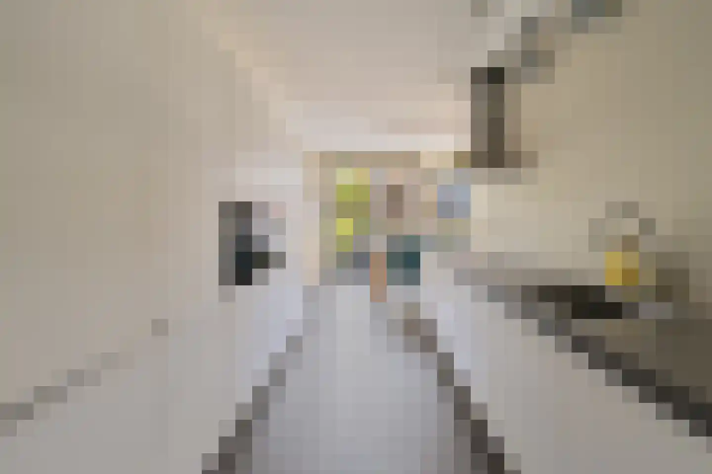 Noordkade 100 C Waddinxveen thumbnail 10