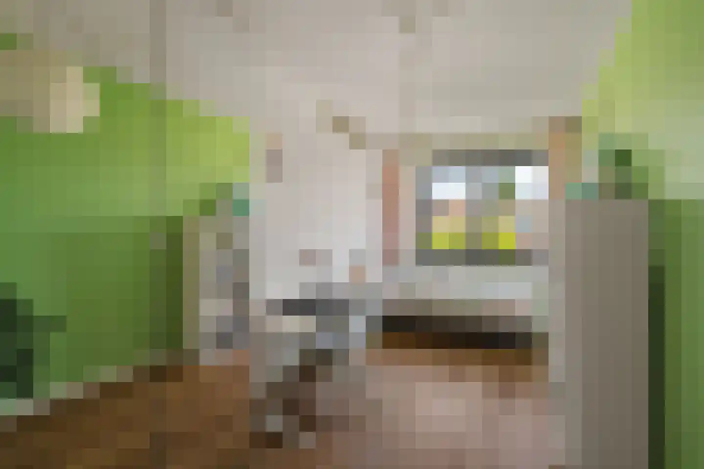 Noordkade 100 C Waddinxveen thumbnail 20