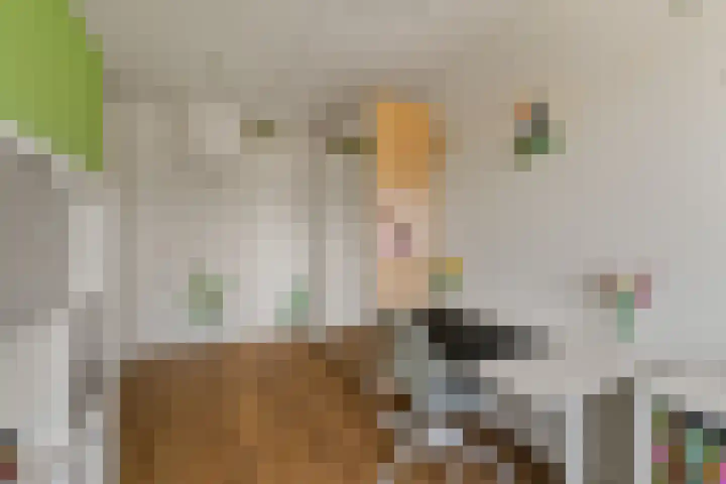 Noordkade 100 C Waddinxveen thumbnail 21