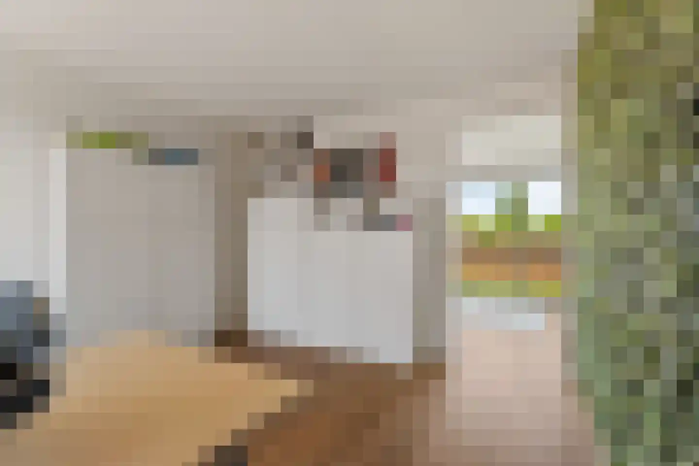 Noordkade 100 C Waddinxveen thumbnail 30