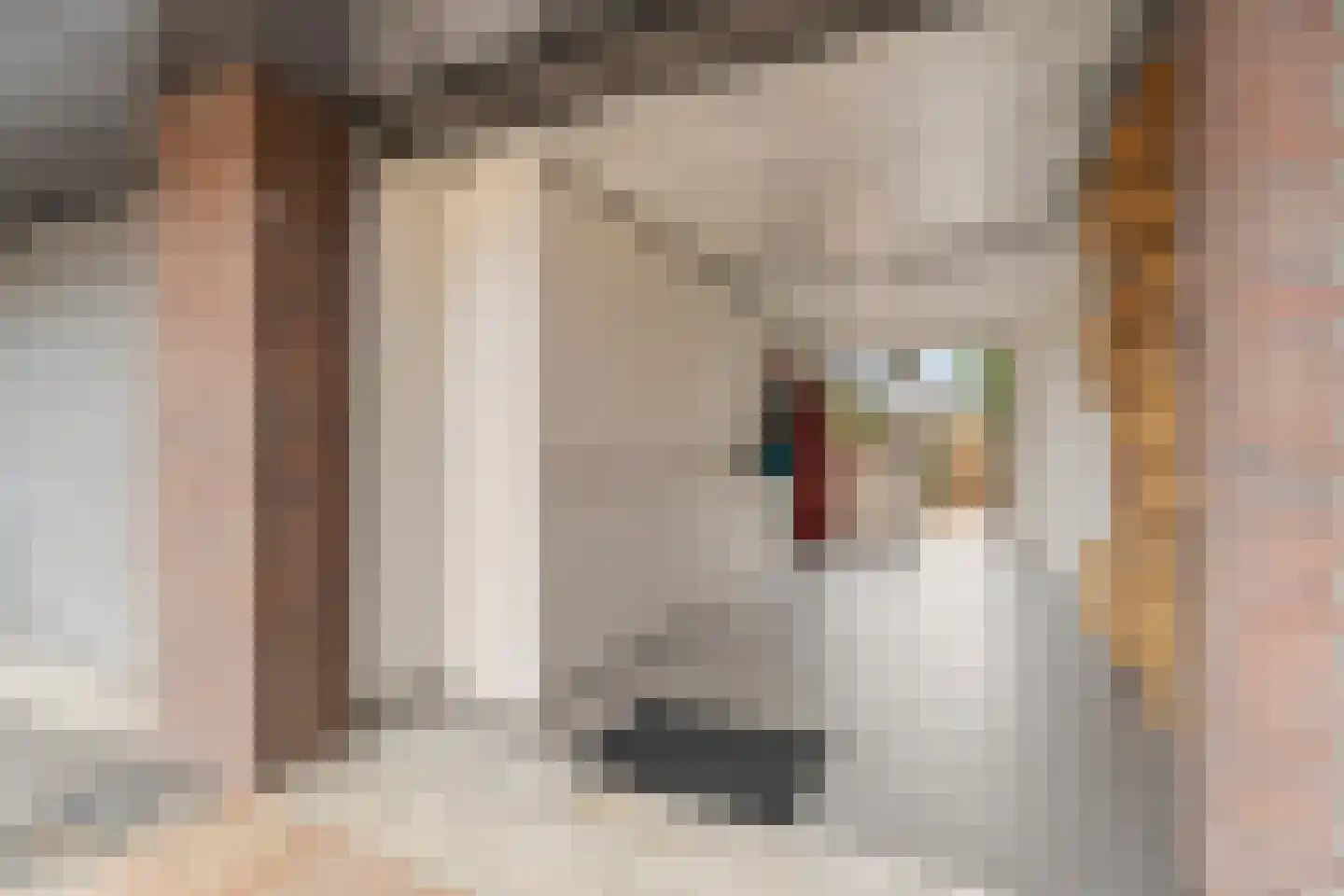 Noordkade 100 C Waddinxveen thumbnail 40