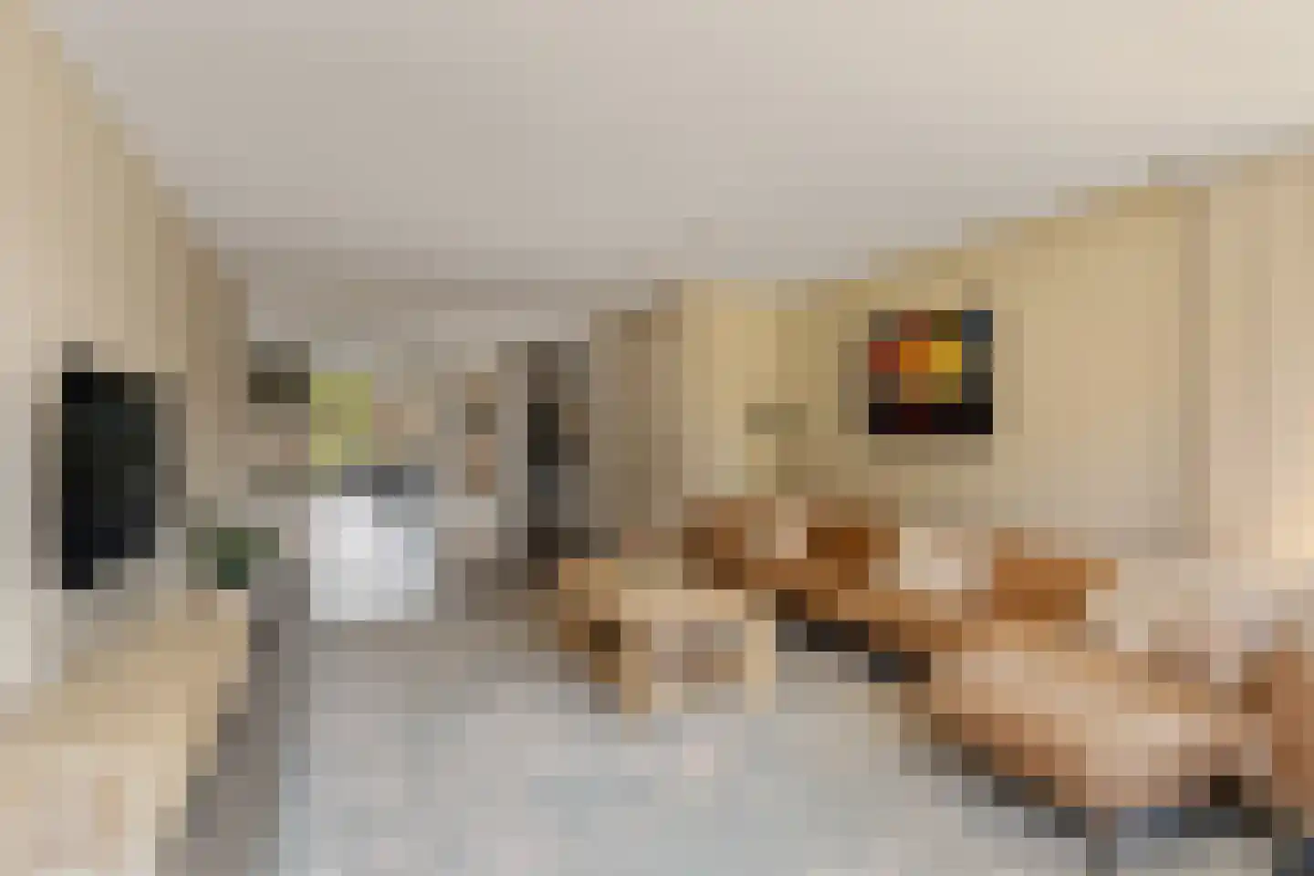 Noordkade 100 C Waddinxveen thumbnail 9