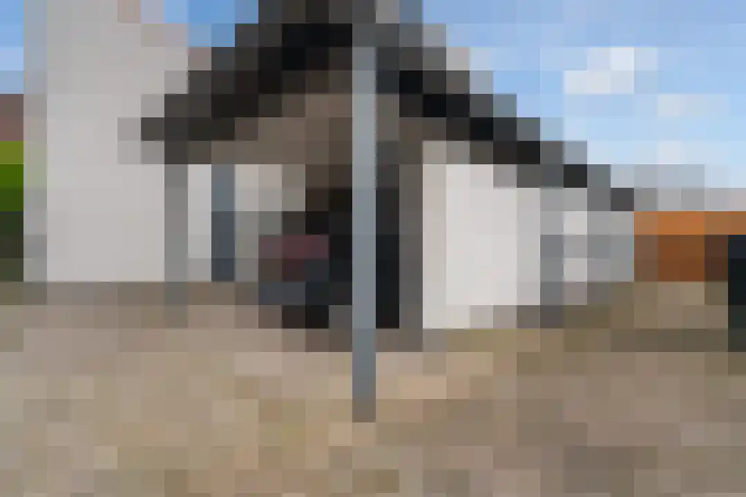 Noordkade 13 Weert thumbnail 60