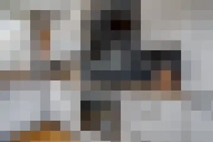 Noordkade 141 B Waddinxveen thumbnail 18