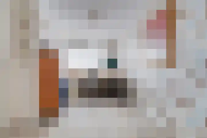 Noordkade 141 B Waddinxveen thumbnail 27