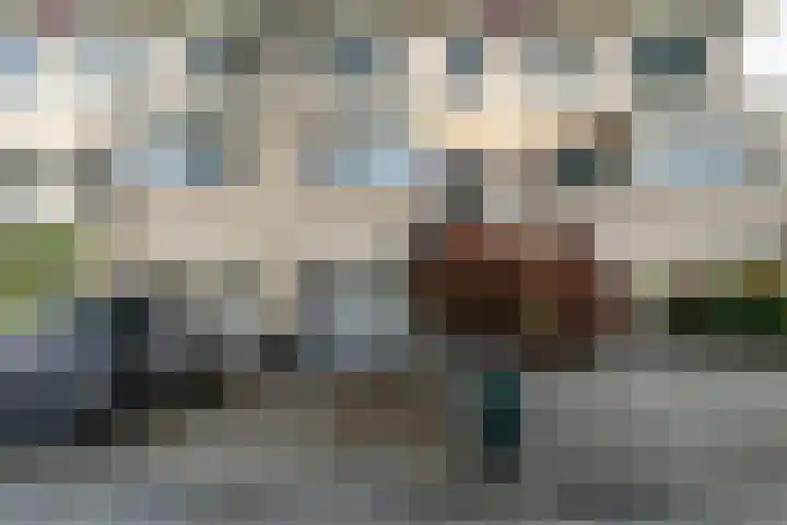 Noordkade 141 B Waddinxveen thumbnail 40