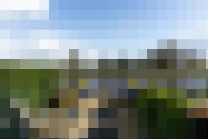 Noordkade 141 B Waddinxveen thumbnail 46
