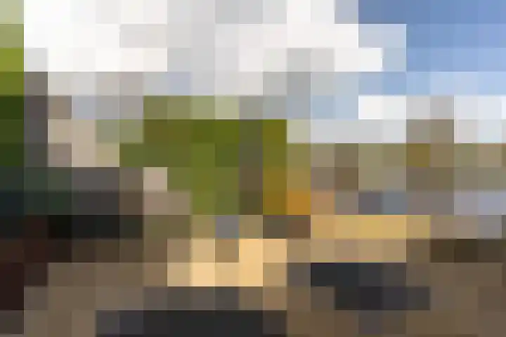 Noordkade 141 B Waddinxveen thumbnail 47