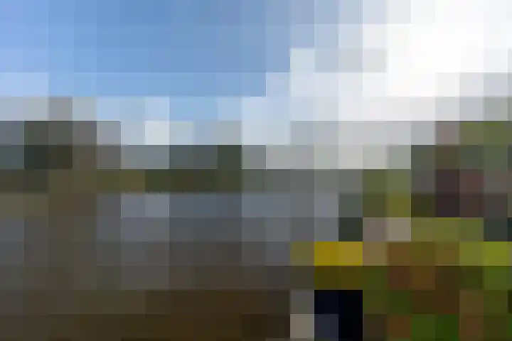 Noordkade 141 B Waddinxveen thumbnail 48