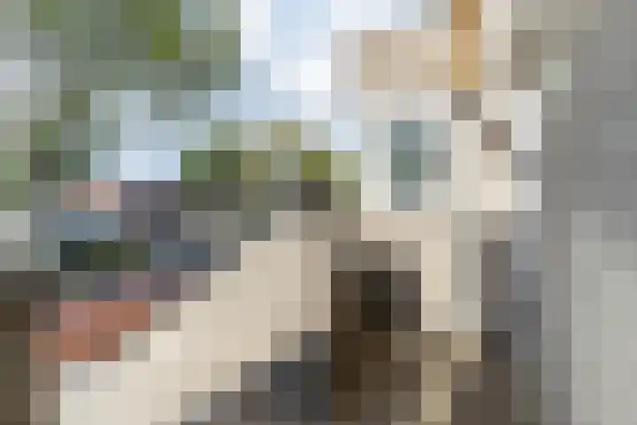 Noordkade 141 B Waddinxveen thumbnail 8