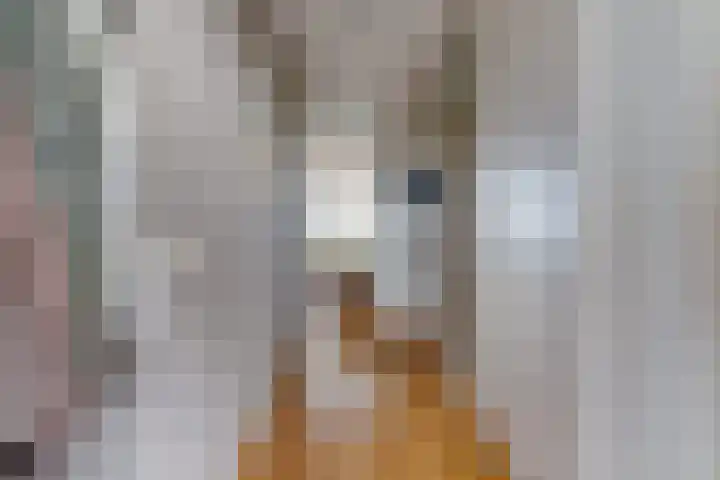 Noordkade 141 B Waddinxveen thumbnail 9