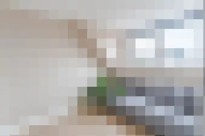 Noordkade 223 Waddinxveen thumbnail 20