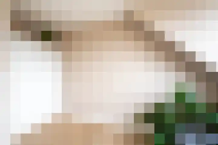 Noordkade 223 Waddinxveen thumbnail 21