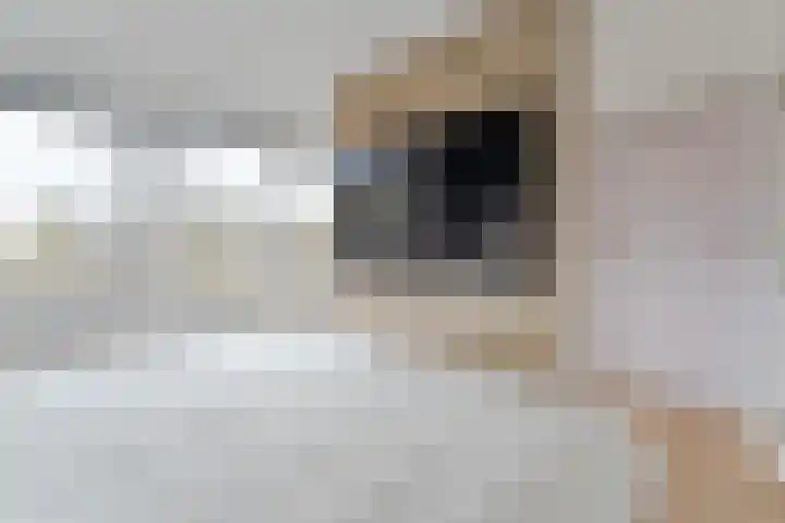 Noordkade 223 Waddinxveen thumbnail 30