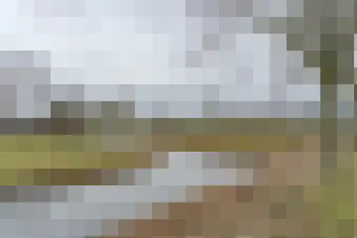 Noordkade 223 Waddinxveen thumbnail 35