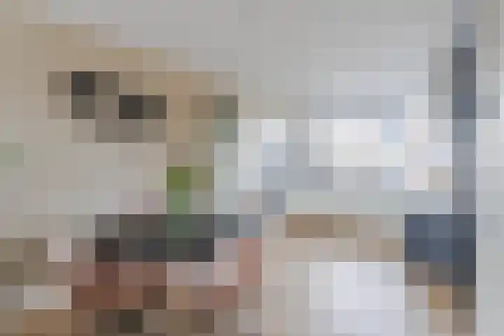 Noordkade 223 Waddinxveen thumbnail 6