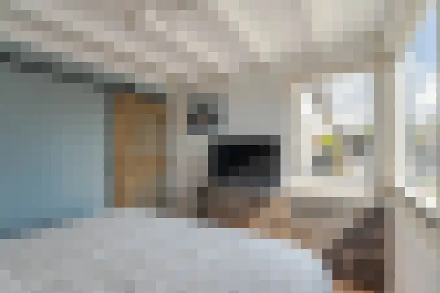 Noordkade 241 Waddinxveen thumbnail 19