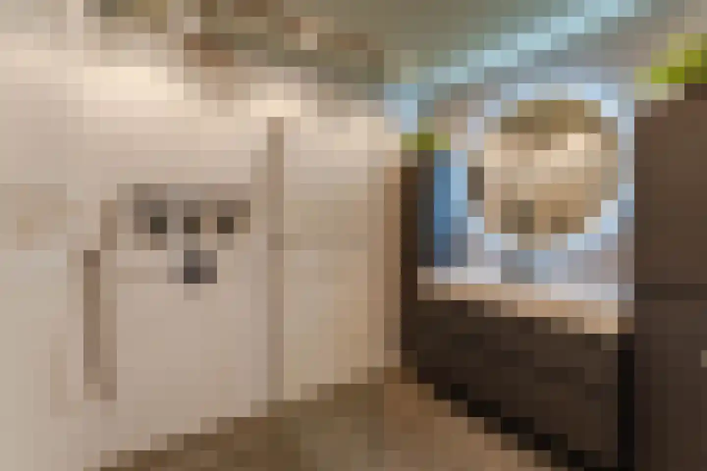 Noordkade 241 Waddinxveen thumbnail 21