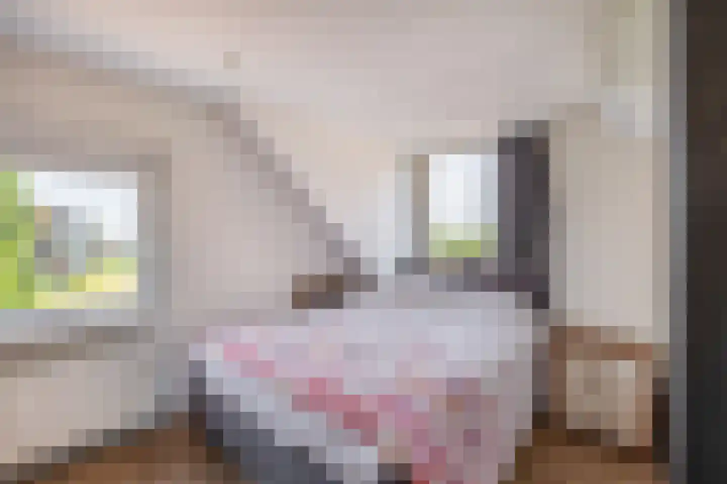 Noordkade 261 Waddinxveen thumbnail 27