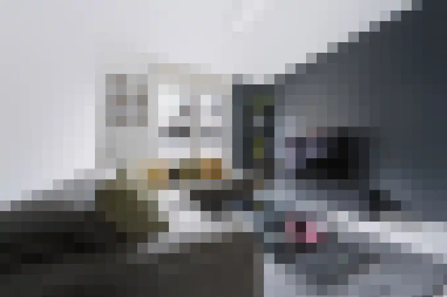 Noordkade 27 Spijkenisse thumbnail 13