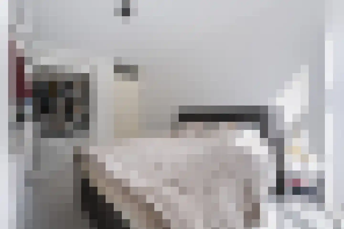 Noordkade 27 Spijkenisse thumbnail 19