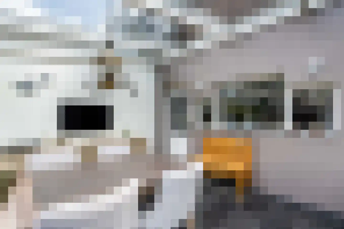 Noordkade 28 Weert thumbnail 22
