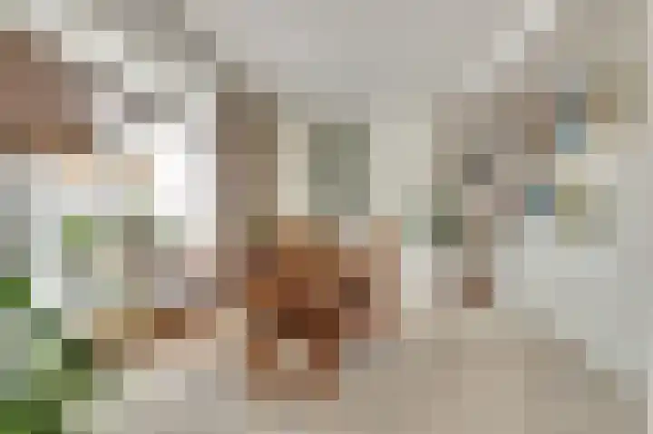 Noordkade 35 Waddinxveen thumbnail 10