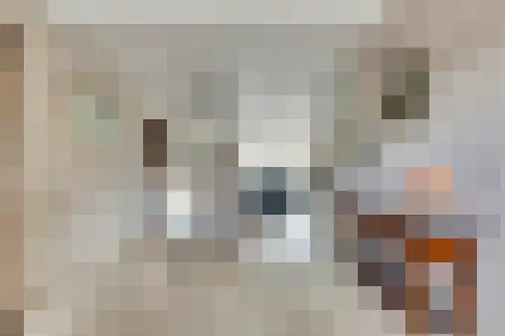 Noordkade 35 Waddinxveen thumbnail 13