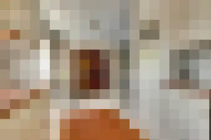 Noordkade 35 Waddinxveen thumbnail 14
